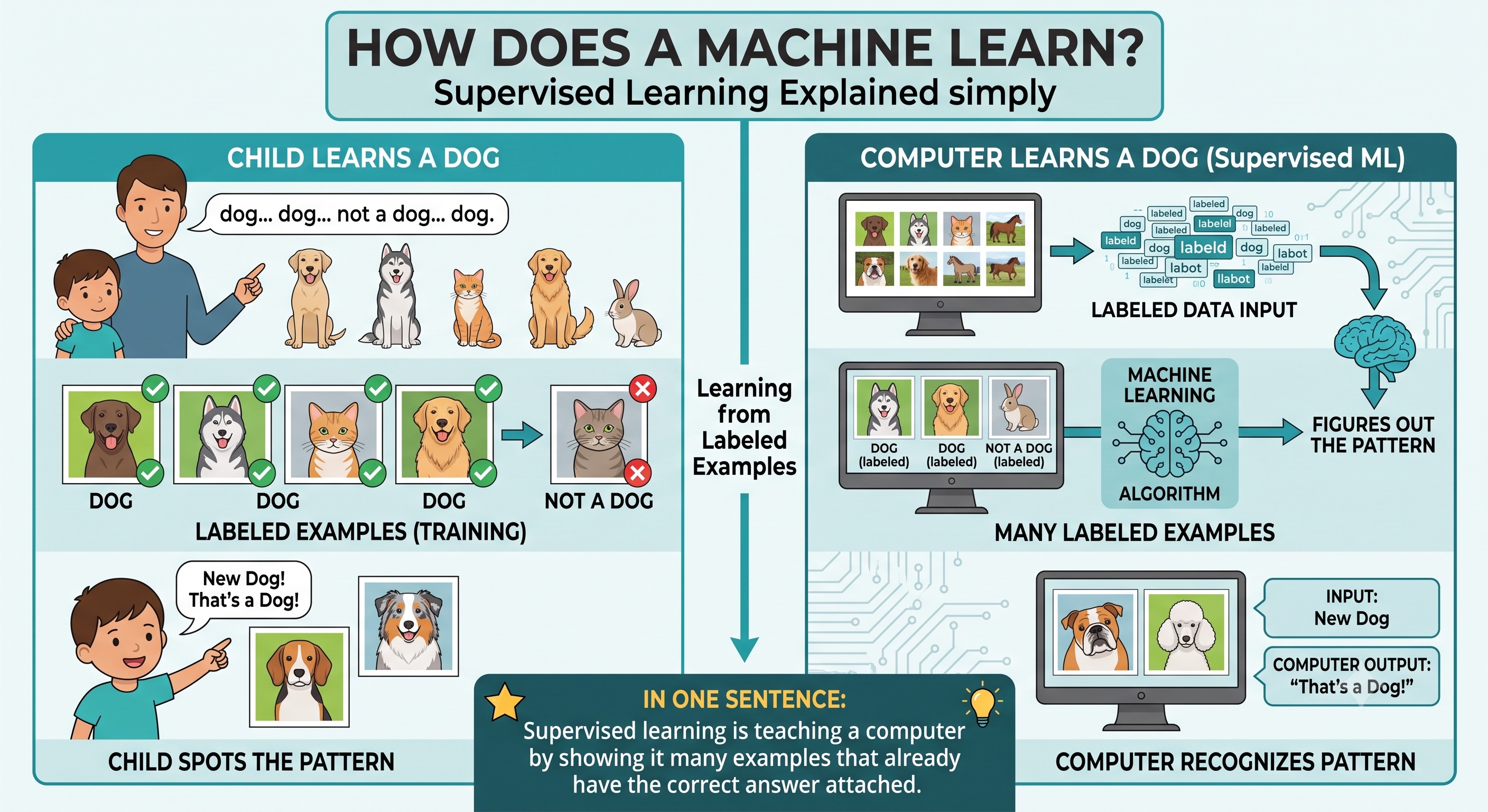 Training an AI with labeled examples